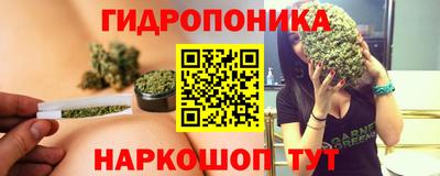 гашик Ликино-Дулёво