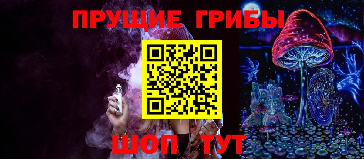 Галлюциногенные грибы Cubensis  Вход с VPN  Зеленокумск 