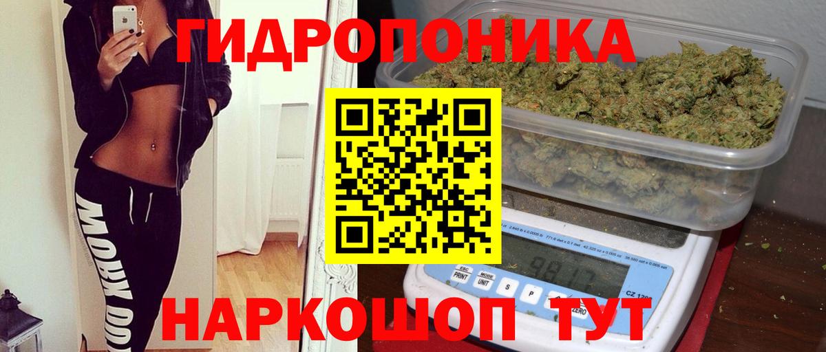 Шишки марихуана сатива Зеленокумск